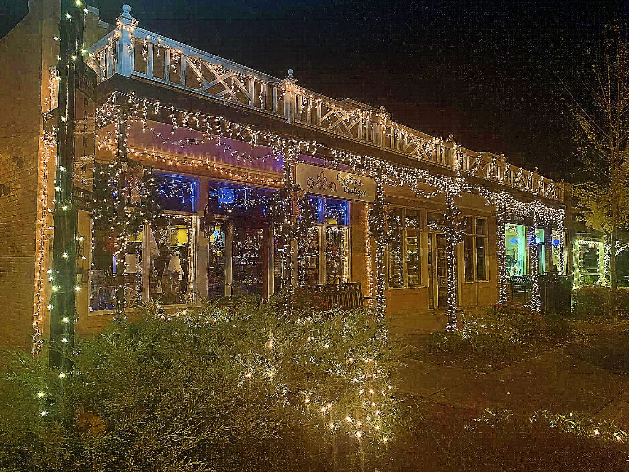 Hernando Christmas lights